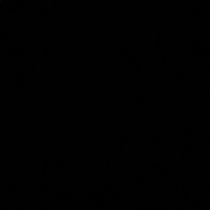 Meet your Posher, Jack